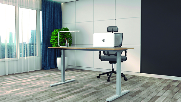 Escritorio Basico Livello