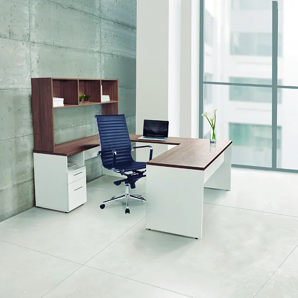 Modulo Directivo Trizza Ac