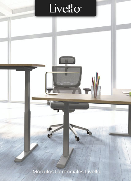 gerenciales livello 1