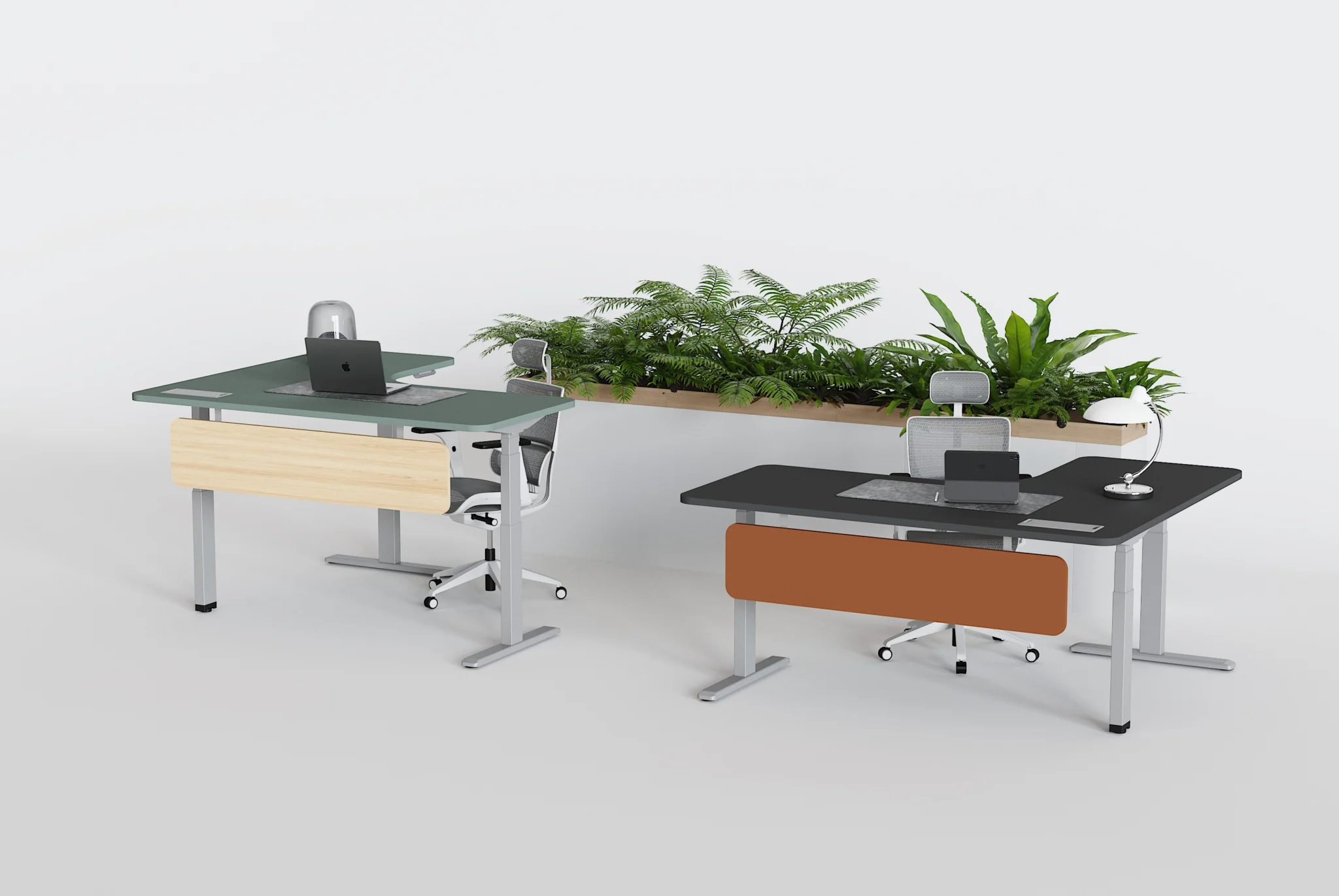 Ejecutivo Livello 1 scaled