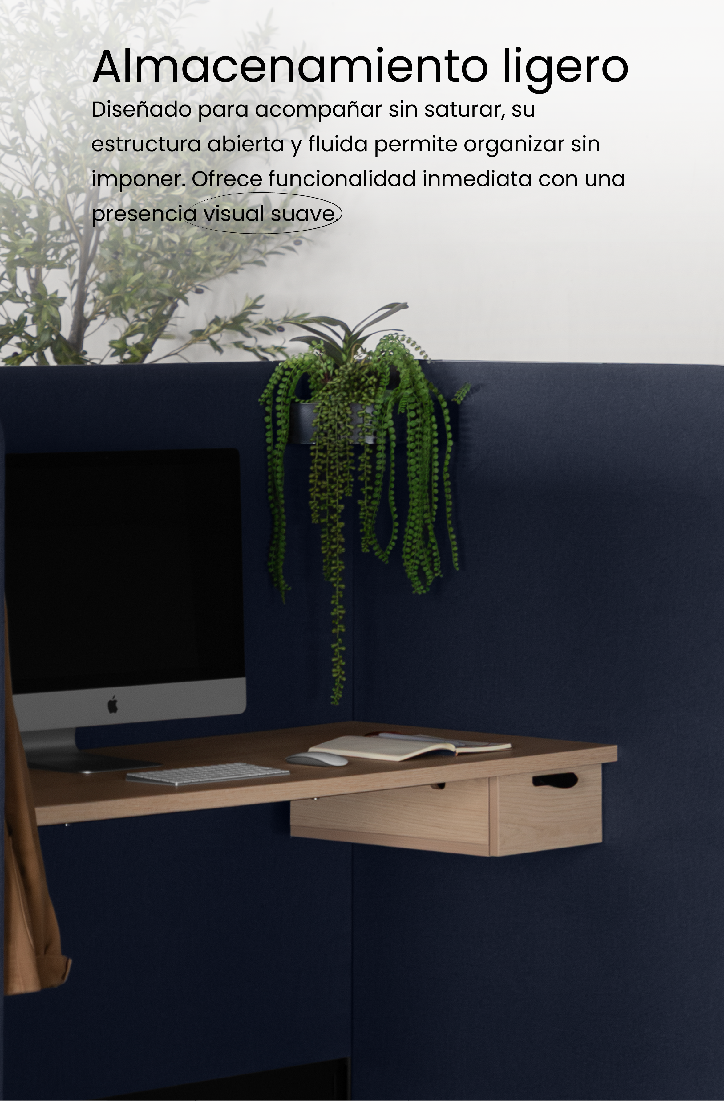 Setto Complemento 5 (1)